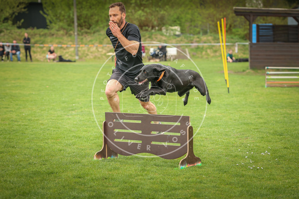 Pfotenfotografie_0L8A0370 | Hundefotografie, Tierfotograf, Pfotenfotografie, Fotoshooting Hund, Hunde Portrait, Hundesport, Hundeportraits, Heideshooting, Hunde, Sportfotograf, Hundefotograf, Turnierhundsport, THS,  - Realisiert mit Pictrs.com