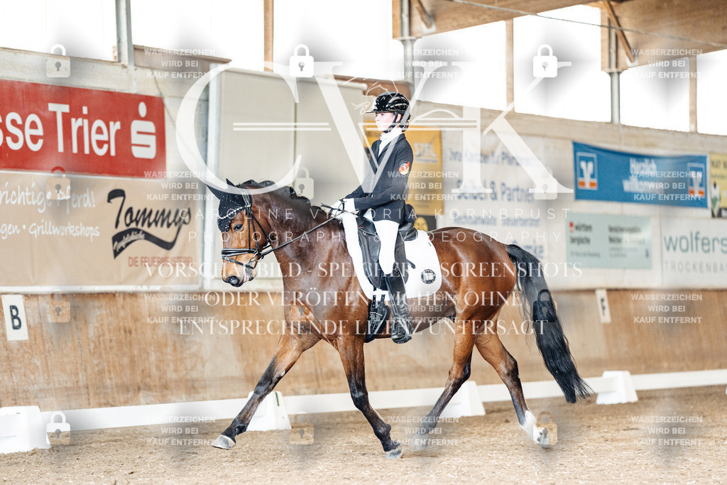 CK901463 | Turnierfotografie Pferdefotografie Trier Rheinland-Pfalz Pferdesport Reitsport Tierfotografie Sportfotografie Pferdevideo Pferdevideografie Equestrianvideography equestrianphotography  - Realisiert mit Pictrs.com