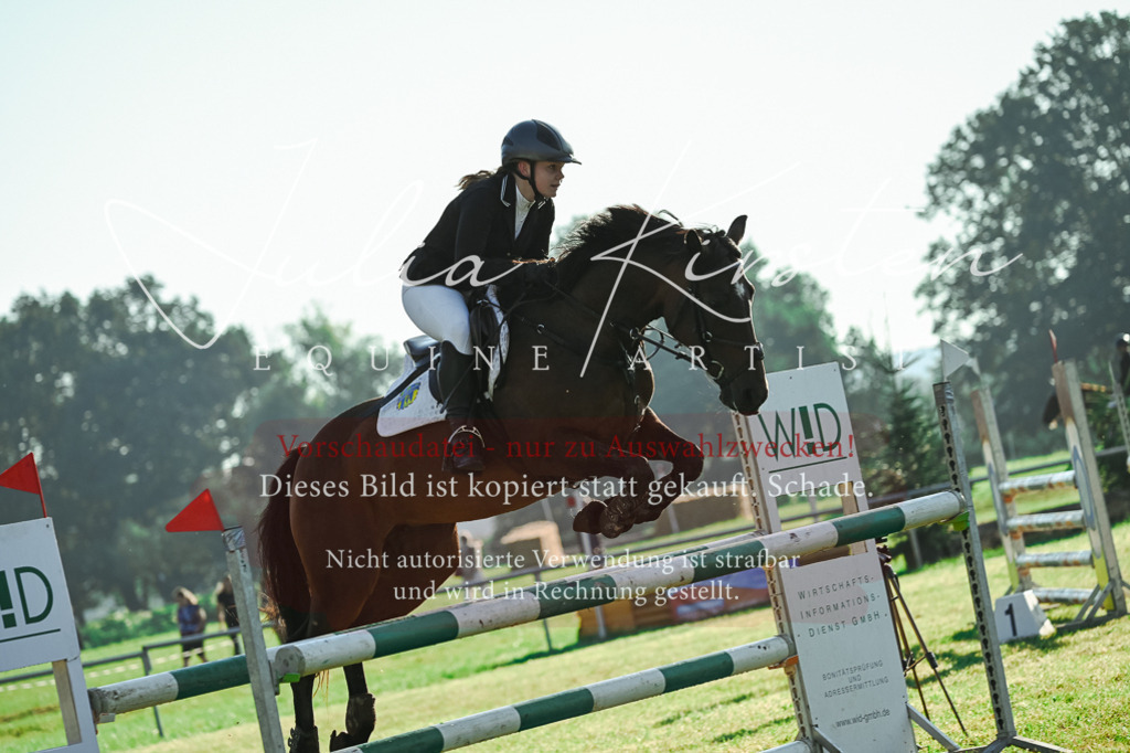 DSC_4285 | Pferde- und Turnierfotografie in Westsachsen. Pferdeportraits, Auftragszeichnungen und intuitive Kunst.