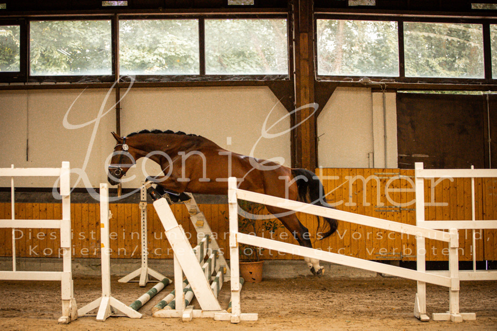 2FS_L00018 | Leoni Ertmer Photography - Realisiert mit Pictrs.com