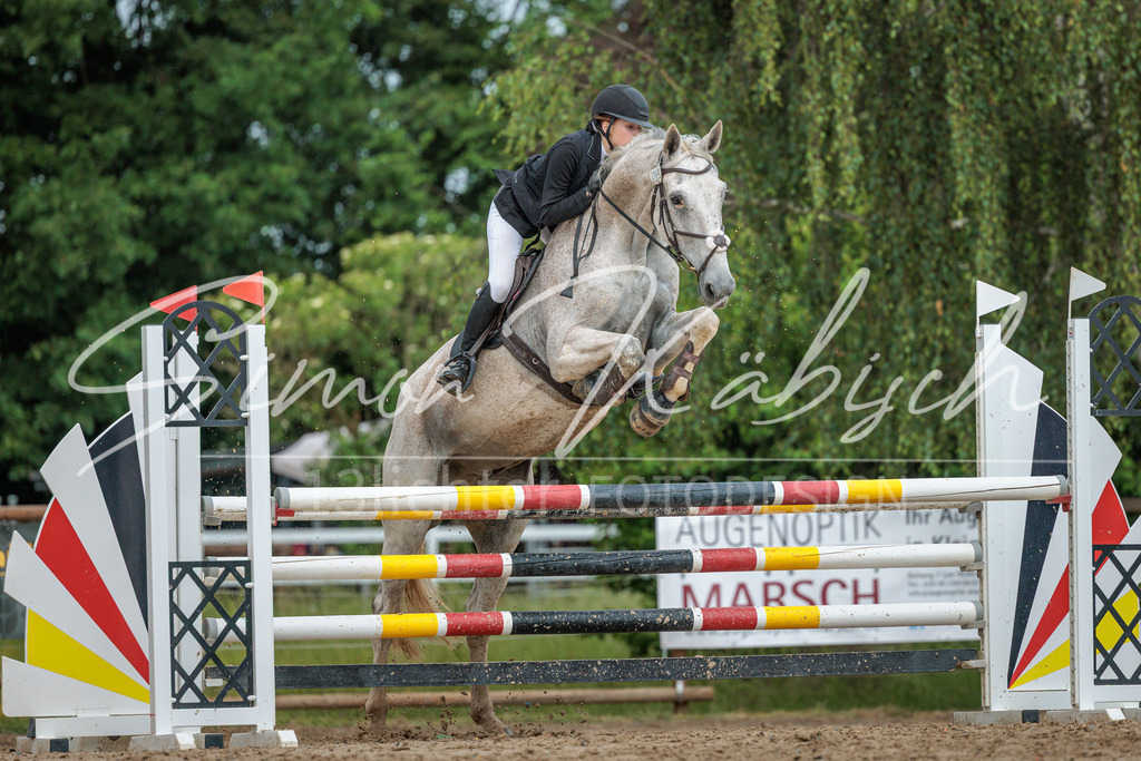 20260530-_3LI2878 | Tierfotografie Pferde, Hunde, Katzen, Haustiere.
Turnierfotografie Reitturniere, Reiten, Springreiten, Dressur in Hanau, dem Main-Kinzig-Kreis und dem Rhein-Main- Gebiet um Frankfurt