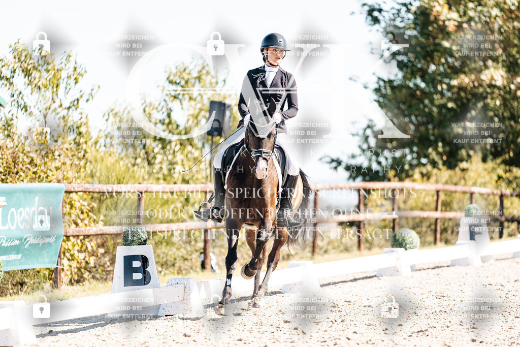 CK909071 | Turnierfotografie Pferdefotografie Trier Rheinland-Pfalz Pferdesport Reitsport Tierfotografie Sportfotografie Pferdevideo Pferdevideografie Equestrianvideography equestrianphotography  - Realisiert mit Pictrs.com