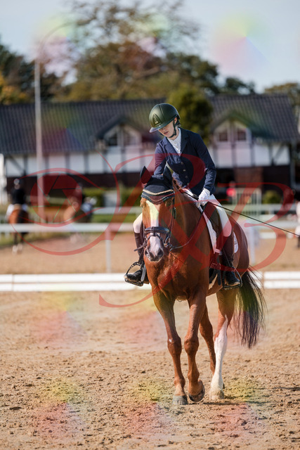 2026_10_03_Siefer-Hof_123807_Z63_55757775 | Professionelle Reitsport-, Turnier- und Eventfotografie von Robert Broda. Galerien mit ausgewählten und bearbeiteten Bildern direkt online ansehen und bestellen.