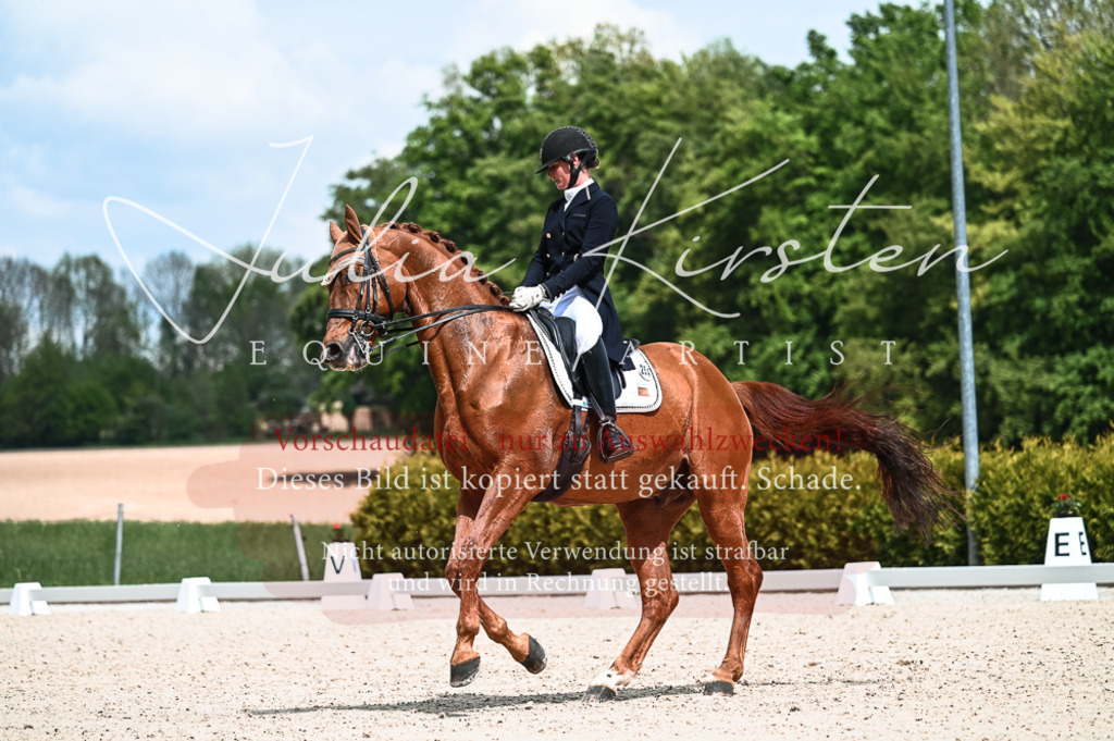 20230514_JK-Röhrsdorf-21-037 | Pferde- und Turnierfotografie in Westsachsen. Pferdeportraits, Auftragszeichnungen und intuitive Kunst.