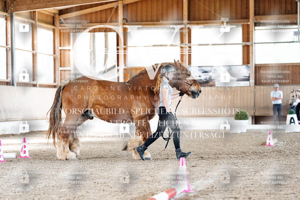 CK905451 | Turnierfotografie Pferdefotografie Trier Rheinland-Pfalz Pferdesport Reitsport Tierfotografie Sportfotografie Pferdevideo Pferdevideografie Equestrianvideography equestrianphotography  - Realisiert mit Pictrs.com