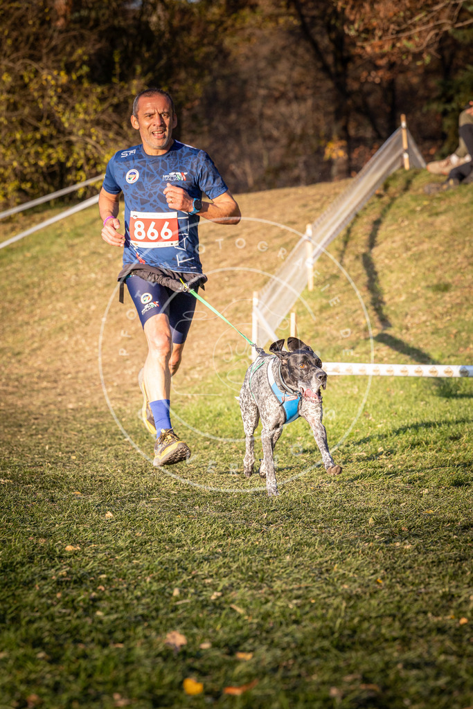 CaniXpix_0L8A1056 | Hundefotografie, Tierfotograf, Pfotenfotografie, Fotoshooting Hund, Hunde Portrait, Hundesport, Hundeportraits, Heideshooting, Hunde, Sportfotograf, Hundefotograf, Turnierhundsport, THS,  - Realisiert mit Pictrs.com