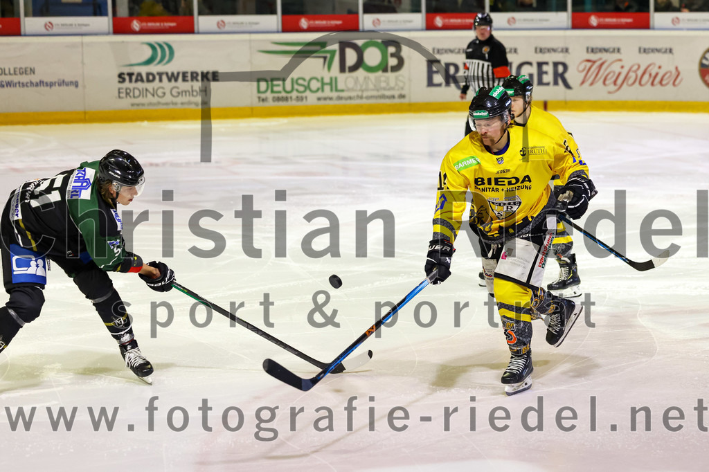 2022-11-20_092_TSV_Erding_gegen_ERSC_Amberg | Erding, Deutschland, 20.11.2022:
Eishockey, Bayernliga 2022 / 2023, 15. Spieltag, TSV Erding gegen ERSC Amberg, Endergebnis: 5:1

Ryan Murphy (Erding Gladiators, #51)

Foto: Christian Riedel / fotografie-riedel.net