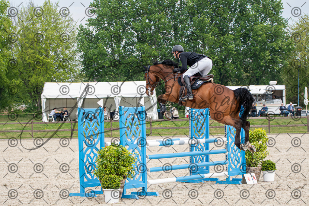 KPT_3065 | andre_photographic