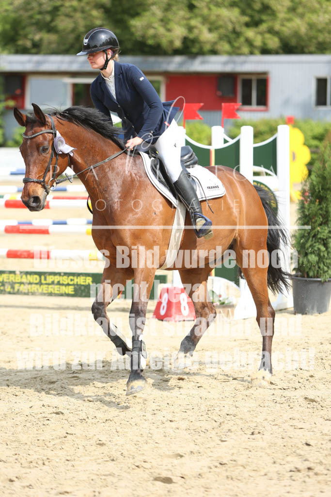 IMGM5991 | pl-fotografie
