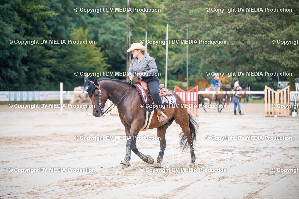 ZS2_4296 | dv-media-shop - Realisiert mit Pictrs.com