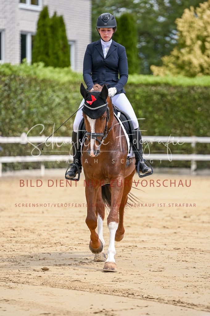 Schugtsche-Aluta25-48.Reitpferfdeprf.-125 | Schugtsche Fotografie - Realisiert mit Pictrs.com