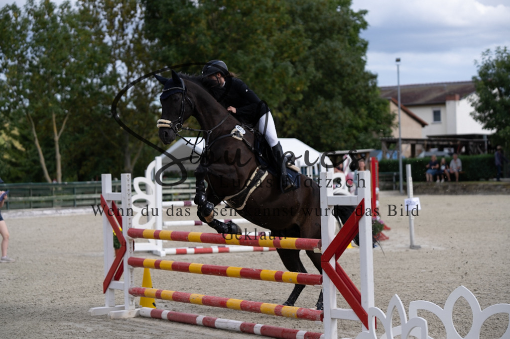 A7V07738 | Turnier/Reitfotograf