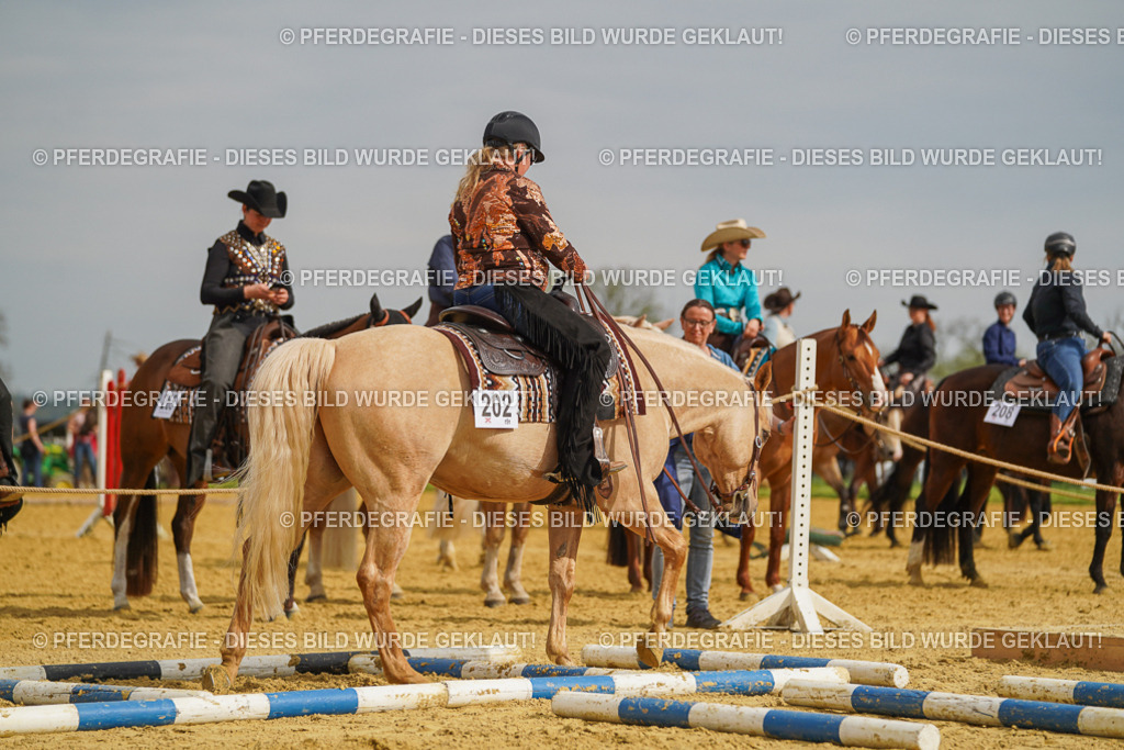 DSC02184 | Pferdegrafie