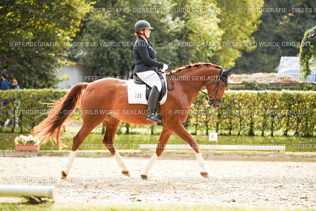 DSC01300 | Pferdegrafie