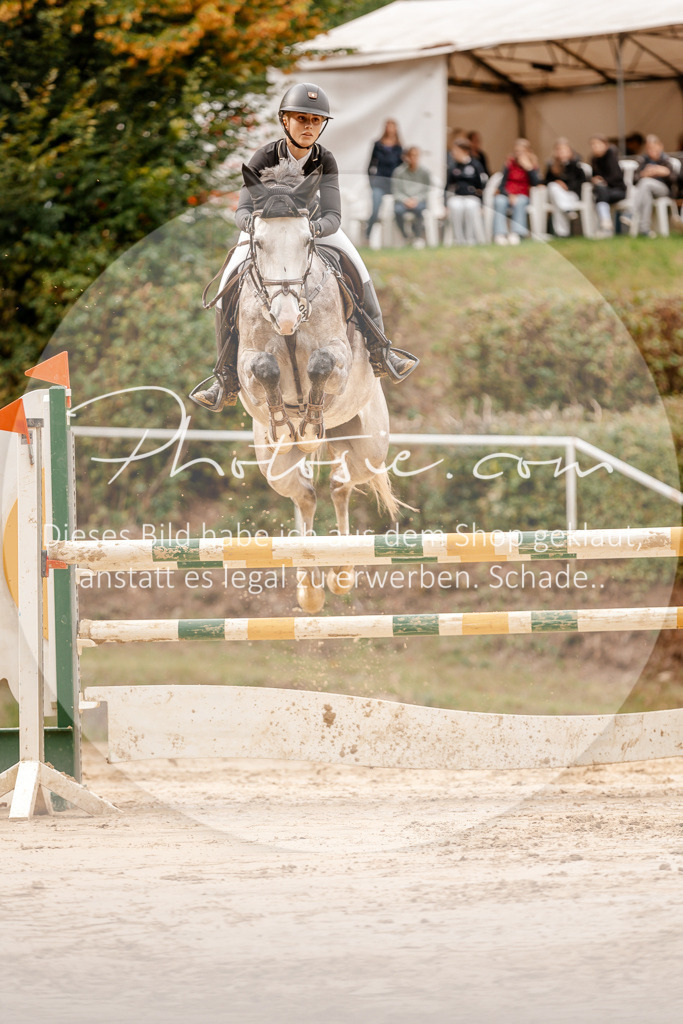 3I6A8141 | Stimmungsvolle Portraits und Reitsportfotografie im Ruhrgebiet und im Münsterland.

Pferdefotografie, Hundefotografie, Tierfotografie, Reportagen, Portraits von Tier und Mensch, Turnierfotografie in Bochum, Recklinghausen, Marl, Haltern am See, Dülmen.. - Realisiert mit Pictrs.com