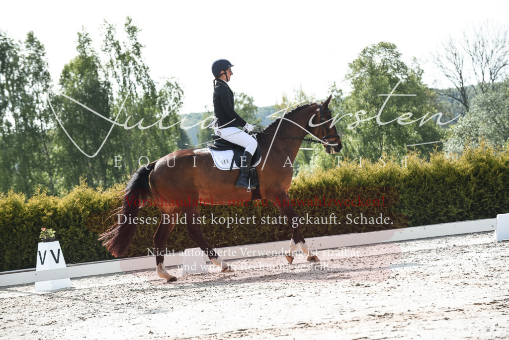 20230518_JK-Röhrsdorf-09-1271 | Pferde- und Turnierfotografie in Westsachsen. Pferdeportraits, Auftragszeichnungen und intuitive Kunst.