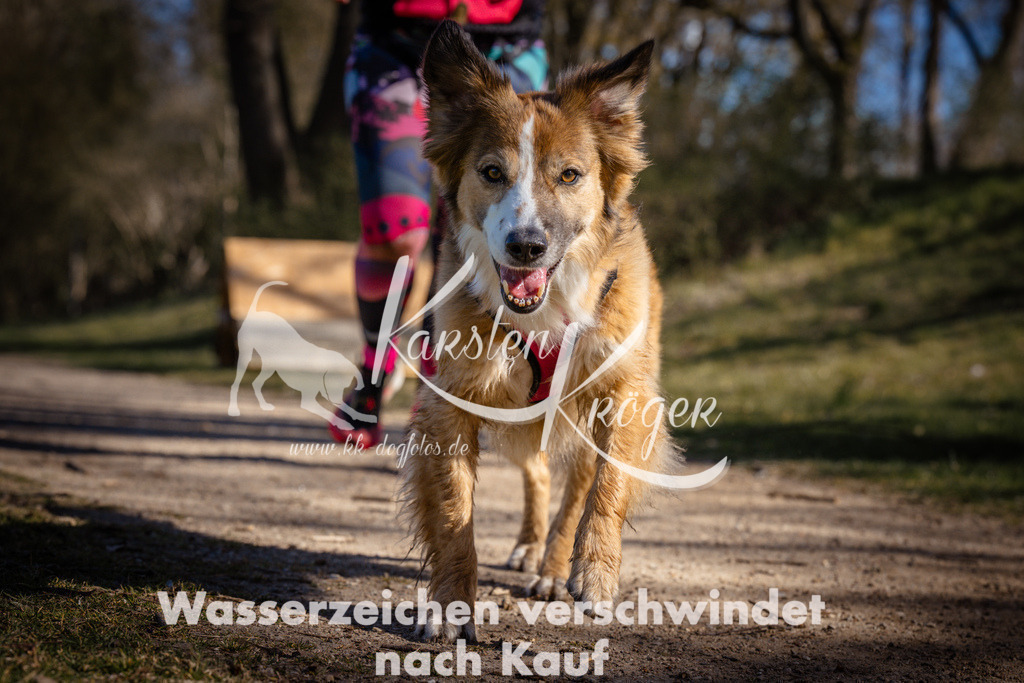 0957_ZZ96911 | kk-dogfotos