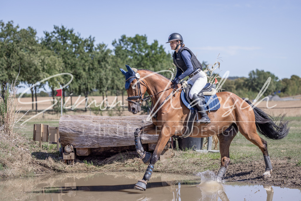 20260906-_3LI3879 | Tierfotografie Pferde, Hunde, Katzen, Haustiere.
Turnierfotografie Reitturniere, Reiten, Springreiten, Dressur in Hanau, dem Main-Kinzig-Kreis und dem Rhein-Main- Gebiet um Frankfurt