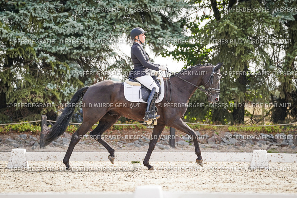 DSC07180 | Pferdegrafie