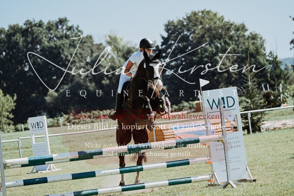 DSC_5885 | Pferde- und Turnierfotografie in Westsachsen. Pferdeportraits, Auftragszeichnungen und intuitive Kunst.