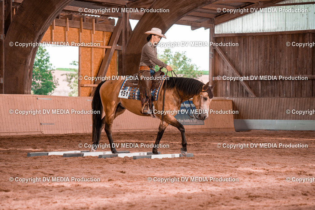 NE200500 | dv-media-shop - Realisiert mit Pictrs.com