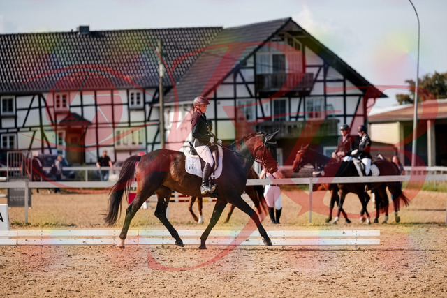 2026_10_03_Siefer-Hof_133612_Z63_96363857 | Professionelle Reitsport-, Turnier- und Eventfotografie von Robert Broda. Galerien mit ausgewählten und bearbeiteten Bildern direkt online ansehen und bestellen.