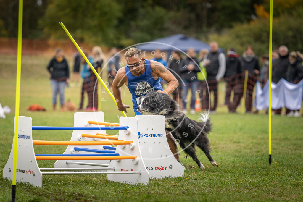 Pfotenfotografie_DV3A9705 | Hundefotografie, Tierfotograf, Pfotenfotografie, Fotoshooting Hund, Hunde Portrait, Hundesport, Hundeportraits, Heideshooting, Hunde, Sportfotograf, Hundefotograf, Turnierhundsport, THS,  - Realisiert mit Pictrs.com