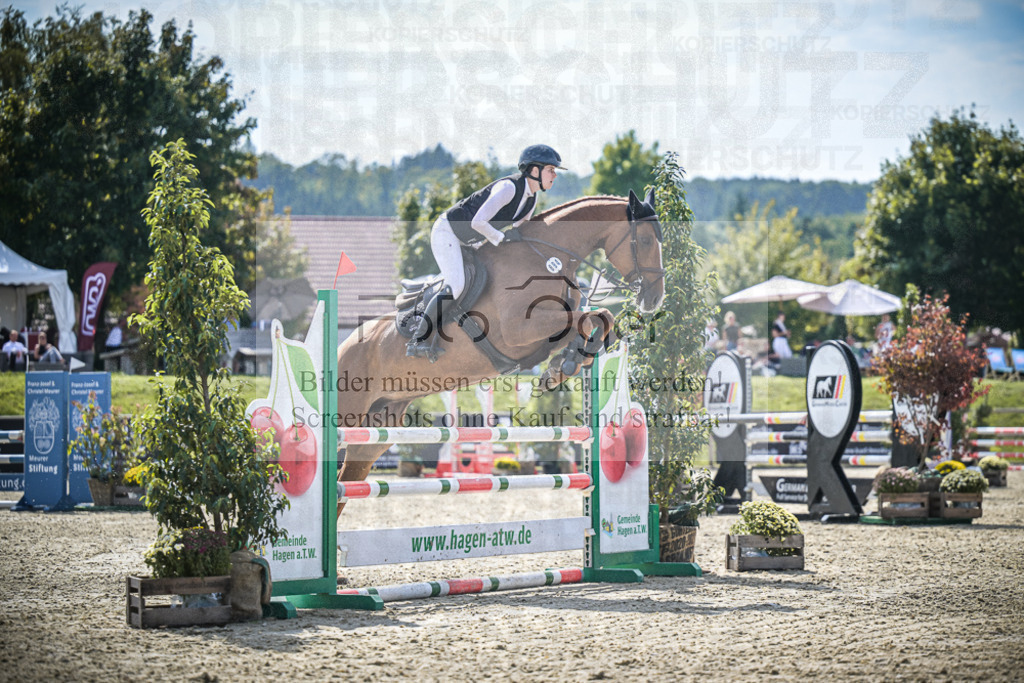 DOS_8504 | Entdecke hochwertige Reitturnierfotos von Foto Oger. Professionell, emotional und authentisch – jetzt Lieblingsmomente im Shop bestellen.Deutschlandweite Turnierfotografie. - Realisiert mit Pictrs.com