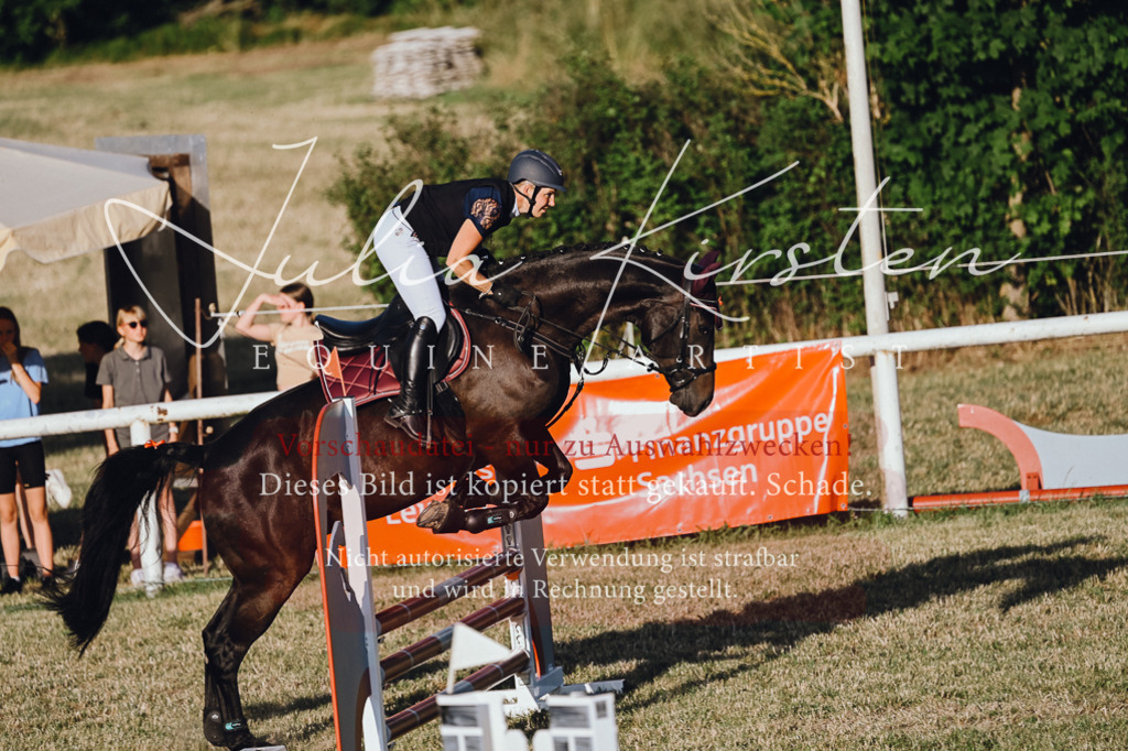 DSC_3239 | Pferde- und Turnierfotografie in Westsachsen. Pferdeportraits, Auftragszeichnungen und intuitive Kunst.