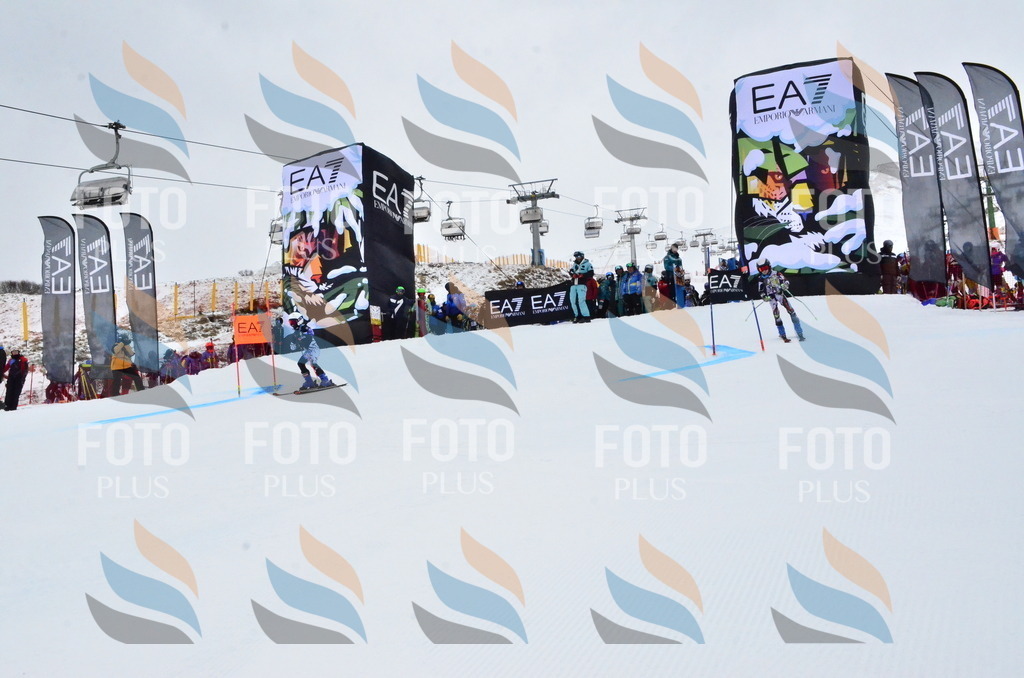 _ELE3084 | holidayphoto