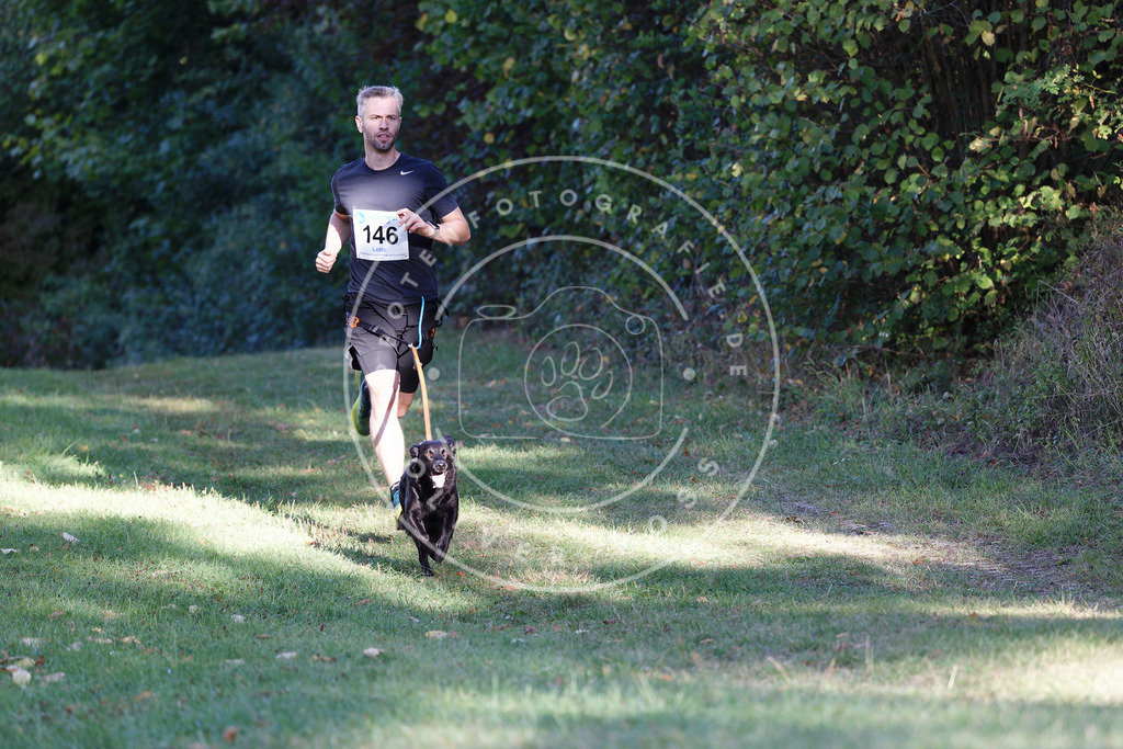 0L8A5002 | Hundefotografie, Tierfotograf, Pfotenfotografie, Fotoshooting Hund, Hunde Portrait, Hundesport, Hundeportraits, Heideshooting, Hunde, Sportfotograf, Hundefotograf, Turnierhundsport, THS,  - Realisiert mit Pictrs.com