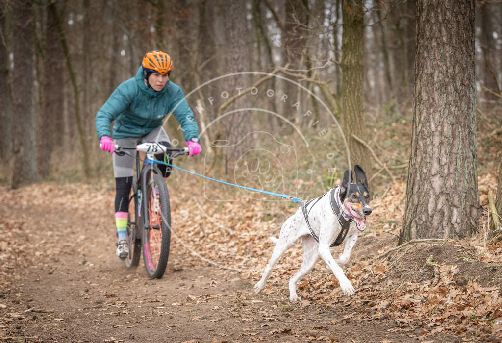 Pfotenfotografie_DV3A5249 | Hundefotografie, Tierfotograf, Pfotenfotografie, Fotoshooting Hund, Hunde Portrait, Hundesport, Hundeportraits, Heideshooting, Hunde, Sportfotograf, Hundefotograf, Turnierhundsport, THS,  - Realisiert mit Pictrs.com