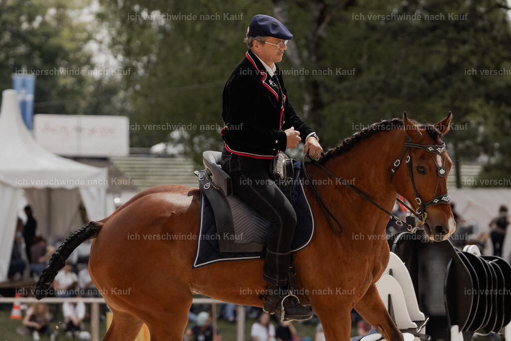 WE_ST_Stoib_339_PI2025_996 | Pferd International München 2025