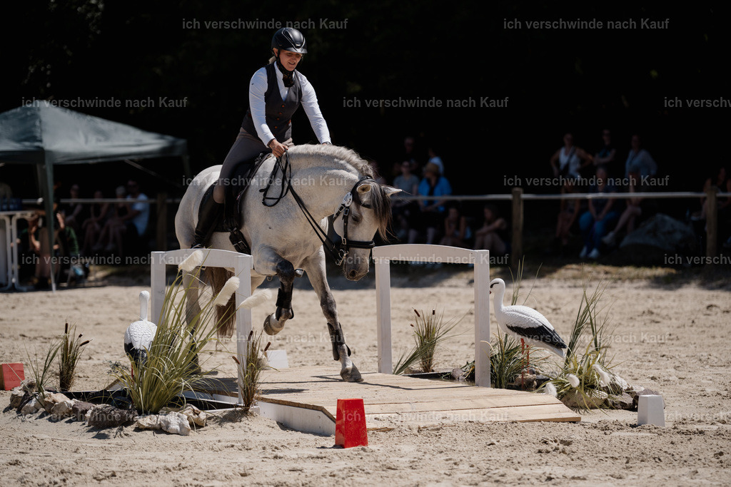 WM_SP_83_Stoibphotography_SO18634 | working equitationturnier fotograf videograf stoibphotography marixx film working equitation deutschland reitsport turnierfotografie eventfotografie equestrian events