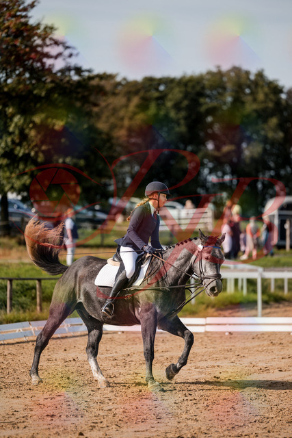 2026_10_03_Siefer-Hof_120130_Z63_34035659 | Professionelle Reitsport-, Turnier- und Eventfotografie von Robert Broda. Galerien mit ausgewählten und bearbeiteten Bildern direkt online ansehen und bestellen.