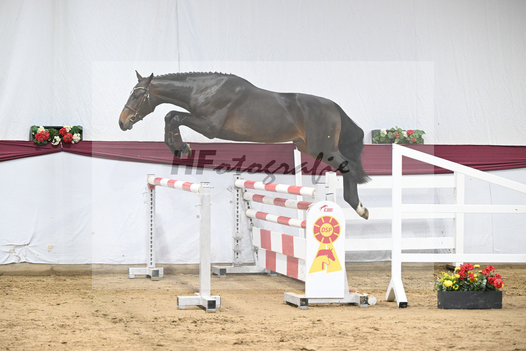 Kat-Nr. 103 Pifte van het Houtemhof x Indoctro_Anna-Sophie Kosch_47253304 | hf-fotografie - Realizzato con Pictrs.com