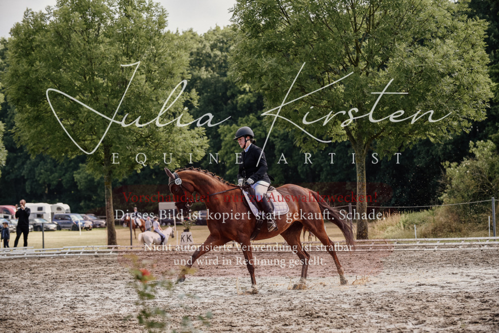 DSC_9274 | Pferde- und Turnierfotografie in Westsachsen. Pferdeportraits, Auftragszeichnungen und intuitive Kunst.