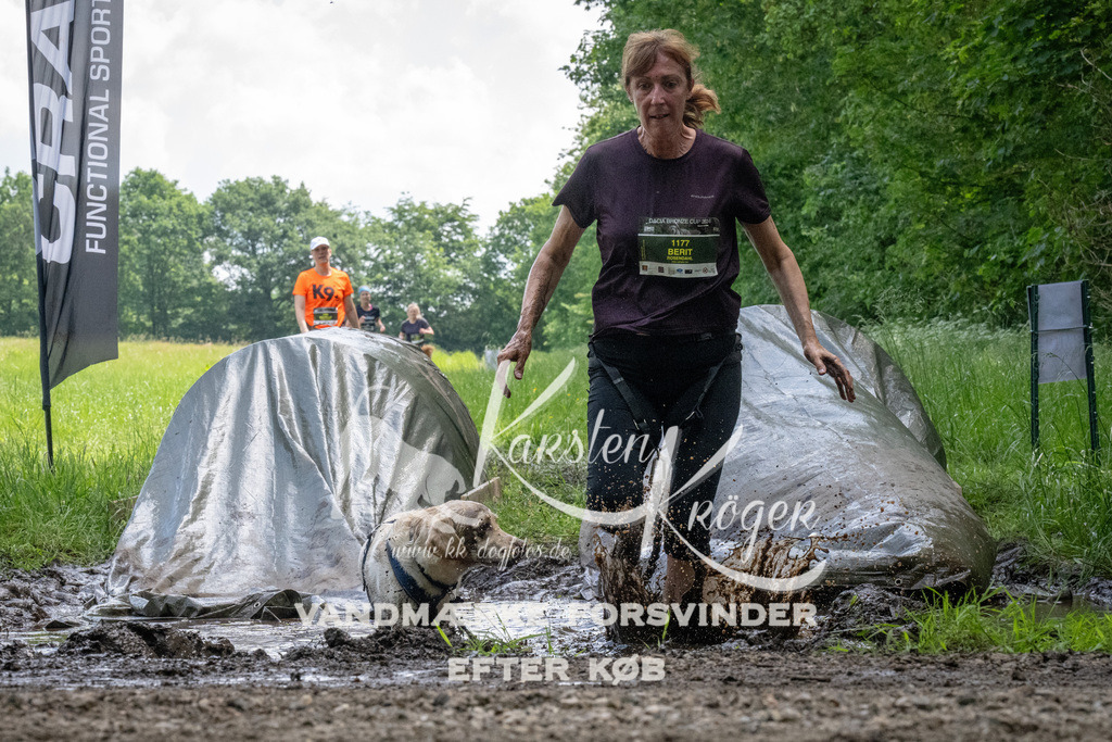 1144_ZZ94282 | kk-dogfotos