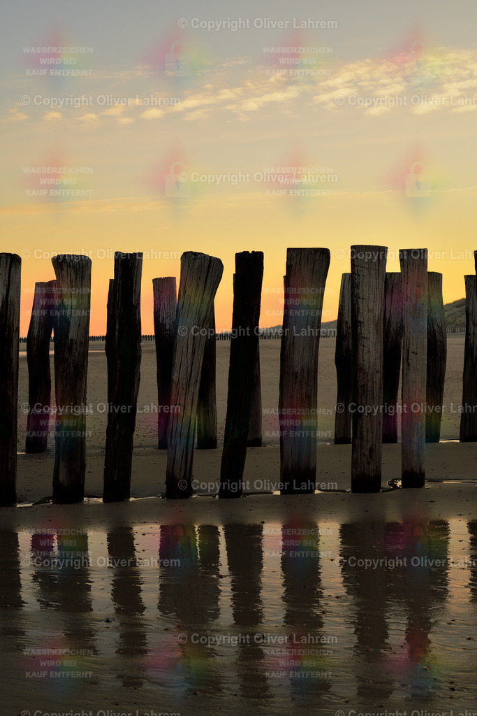 Holzbuhnen zur Goldenen Stunde | Goldene Stunde am Morgen über dem Strand von Domburg auf Zeeland. Alte Holzbuhnen spiegeln sich im noch im verbliebenen Wasser der zurück gegangenen Flut.