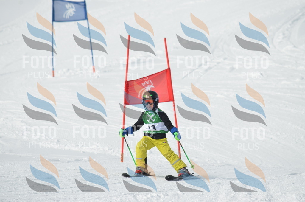 D8547 | holidayphoto