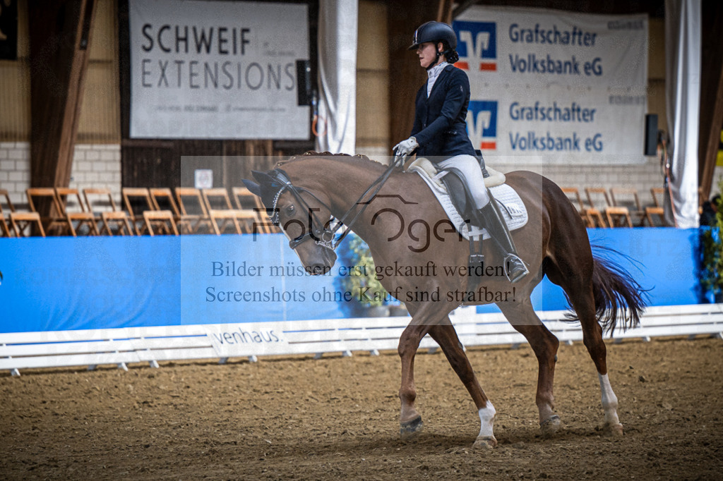 DOS_0782 | Entdecke hochwertige Reitturnierfotos von Foto Oger. Professionell, emotional und authentisch – jetzt Lieblingsmomente im Shop bestellen.Deutschlandweite Turnierfotografie. - Realisiert mit Pictrs.com
