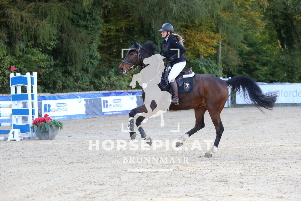 DL2Q5354 | Willkommen bei Brunnmayr - Design & Fotografie – Ihrem Spezialisten für Reitturniere und Pferdeveranstaltungen in Oberösterreich, Salzburg und Bayern! Seit über 17 Jahren sind wir leidenschaftlich dabei.