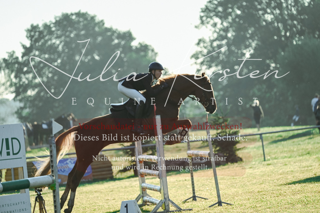 DSC_3746 | Pferde- und Turnierfotografie in Westsachsen. Pferdeportraits, Auftragszeichnungen und intuitive Kunst.