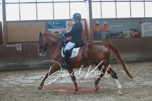 DKP44919 | Deine Turnierfotos vom Reitturnier online kaufen: Dressur, Springen & Siegerehrung. Professionelle Pferdefotografie aus dem Rheinland – als Download & Print.Alternative: Turnierfotograf für den Pferdesport: Finde deine Fotos von Dressur- und Springturnier