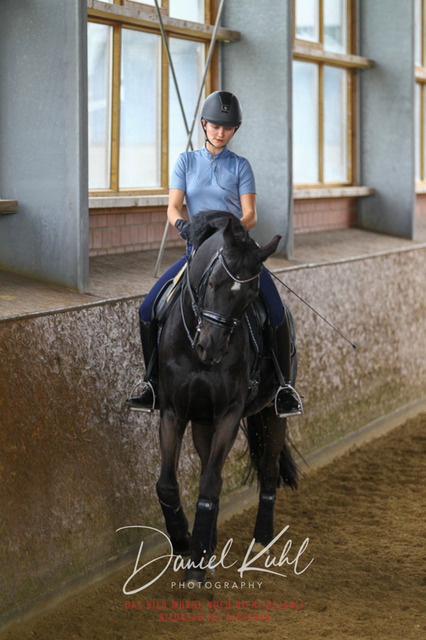 DKP42710 | Turniersportfotografie; Pferdefotografie; Dressurfotografie