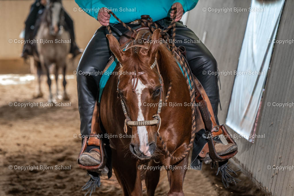 SBS03052 | BS-foto