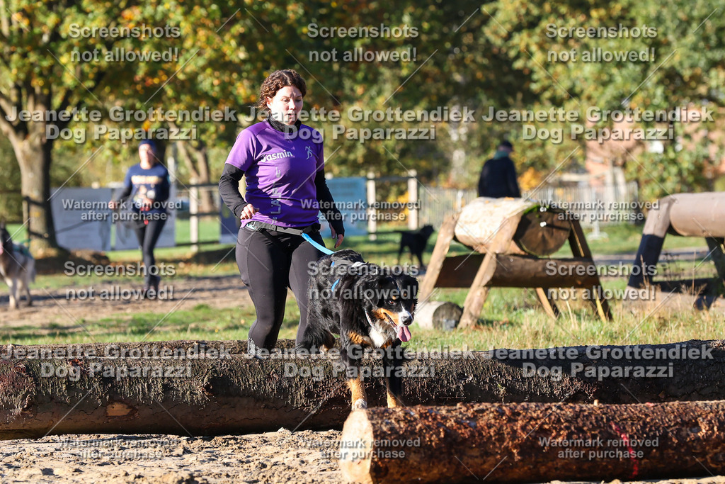 Dog Paparazzi - Strongdog 10-25-1069 | Dog Paparazzi Jeanette Grottendiek Fotografie & Videografie - Realisiert mit Pictrs.com