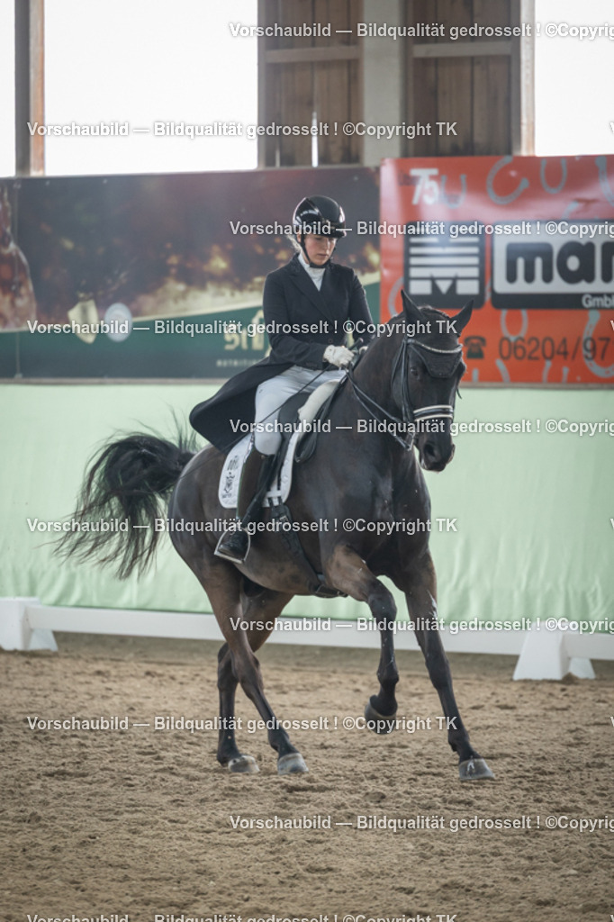 _D5A5388 | Emotionale Pferde- & People-Fotografie rund um Heidelberg, Leimen & Umgebung. Natürliche Fotos von Pferd, Mensch & Familie. Jetzt Termin sichern!