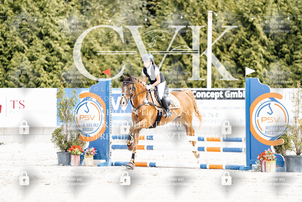 CK906302 | Turnierfotografie Pferdefotografie Trier Rheinland-Pfalz Pferdesport Reitsport Tierfotografie Sportfotografie Pferdevideo Pferdevideografie Equestrianvideography equestrianphotography  - Realisiert mit Pictrs.com