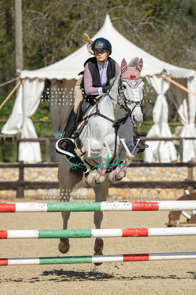 IMG_6535 | s-jay-photography - Realisiert mit Pictrs.com